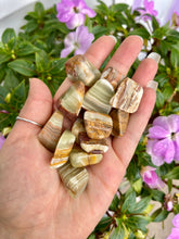 Load image into Gallery viewer, Green Banded Onyx Tumbles- Pakistan