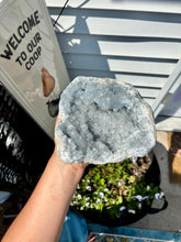 Load image into Gallery viewer, Mystical Magical Celestite Cluster 💫