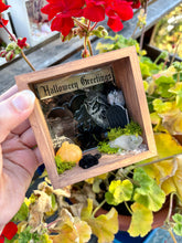 Load image into Gallery viewer, Spooky Grove Nights- Faery Trinket Box💀✨