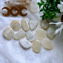 Load image into Gallery viewer, Flat Moonstone Palms- Madagascar