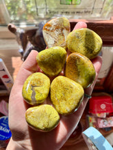 Load image into Gallery viewer, Green Opal Random Shape Mini Palms