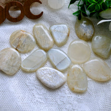Load image into Gallery viewer, Flat Moonstone Palms- Madagascar