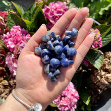 Load image into Gallery viewer, Sodalite Mushrooms