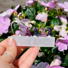 Load image into Gallery viewer, Fluorite Mini Carving French Bull Dog