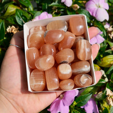 Load image into Gallery viewer, Caramel Calcite Tumbles- Pakistan