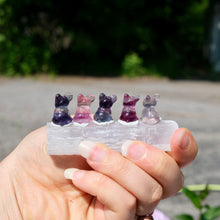 Load image into Gallery viewer, Fluorite Mini Carving French Bull Dog