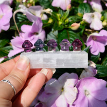 Load image into Gallery viewer, Fluorite Mini Carving Mushroom
