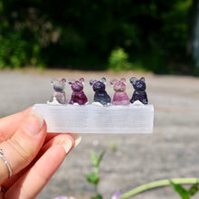 Load image into Gallery viewer, Fluorite Mini Carving French Bull Dog