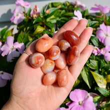 Load image into Gallery viewer, Carnelian Tumbles