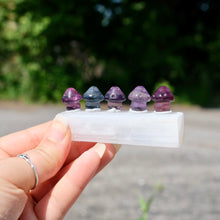 Load image into Gallery viewer, Fluorite Mini Carving Mushroom