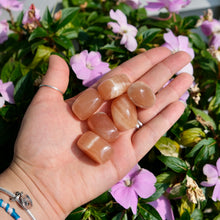 Load image into Gallery viewer, Caramel Calcite Tumbles- Pakistan