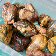 Load image into Gallery viewer, Yellow Feather Agate Tumbles from Utah