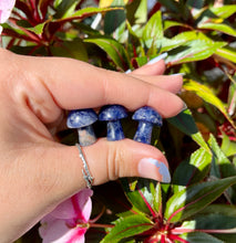 Load image into Gallery viewer, Sodalite Mushrooms