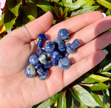 Load image into Gallery viewer, Sodalite Mushrooms