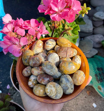 Load image into Gallery viewer, Crazy Lace Agate Tumbles