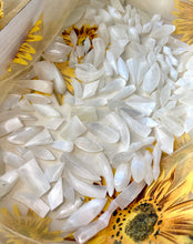 Load image into Gallery viewer, Satin Spar Selenite Random Shape