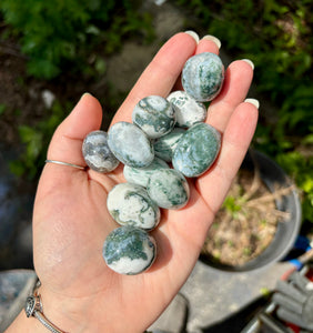 Moss Agate Tumbles