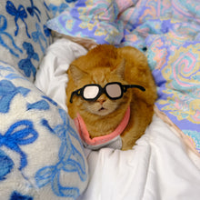 Load image into Gallery viewer, Tuff’s Love Bundle 🐾🩵 One-Of-A-Kind
