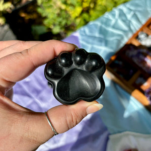 Black Obsidian Paw Bowls