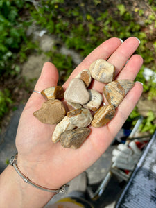 "Landscape Jasper" Picture Jasper Tumbles