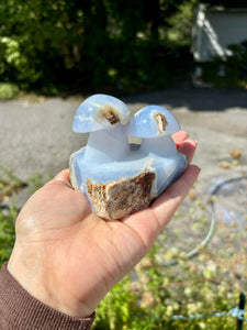 Blue Chalcedony Mushrooms