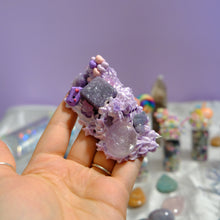 Load image into Gallery viewer, Lavender Kisses Crystal Buddy💜✨
