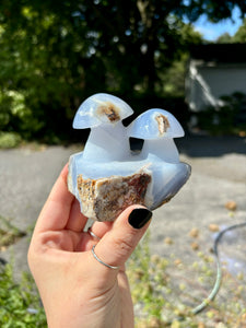 Blue Chalcedony Mushrooms