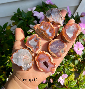 Natural Agate Slices (Random Pick)