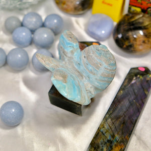 Blue Aragonite Butterfly