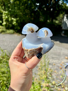 Blue Chalcedony Mushrooms