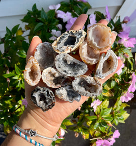 Oco Agate Geodes