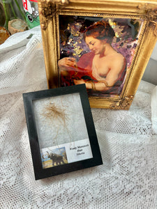 Wooly Mammoth Hair in display box