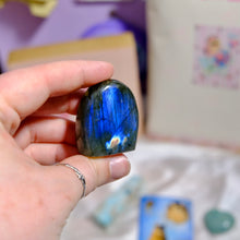 Load image into Gallery viewer, Tuff’s Love Bundle 🐾🩵 One-Of-A-Kind
