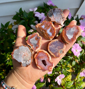 Natural Agate Slices (Random Pick)