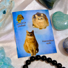 Load image into Gallery viewer, Tuff’s Love Bundle 🐾🩵 One-Of-A-Kind
