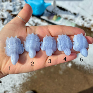 Blue Lace Agate Turtles
