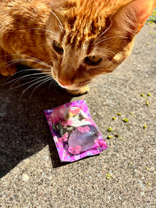 Pogo Glitz & Glam Bags 🪩💗