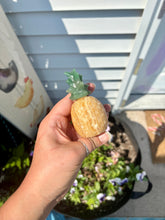 Load image into Gallery viewer, Tropic Cuties 💫Orange Calcite + Green Aventurine Pineapple✨🍍
