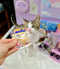 Load image into Gallery viewer, The Silly Goose Scoop 😻 Crystal Bundle
