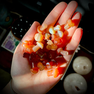 Carnelian Mushrooms