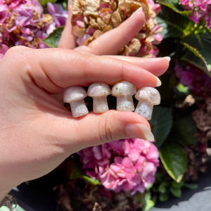 Flower Agate Mushrooms