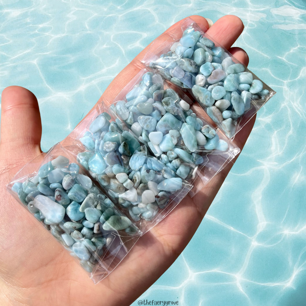 Larimar Chip Bags- 1oz