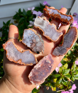 Natural Agate Slices (Random Pick)