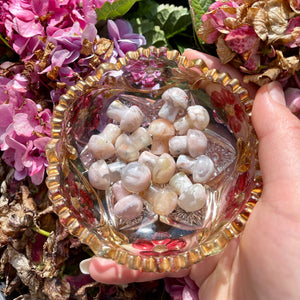 Flower Agate Mushrooms