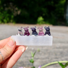 Load image into Gallery viewer, Fluorite Mini Carving French Bull Dog
