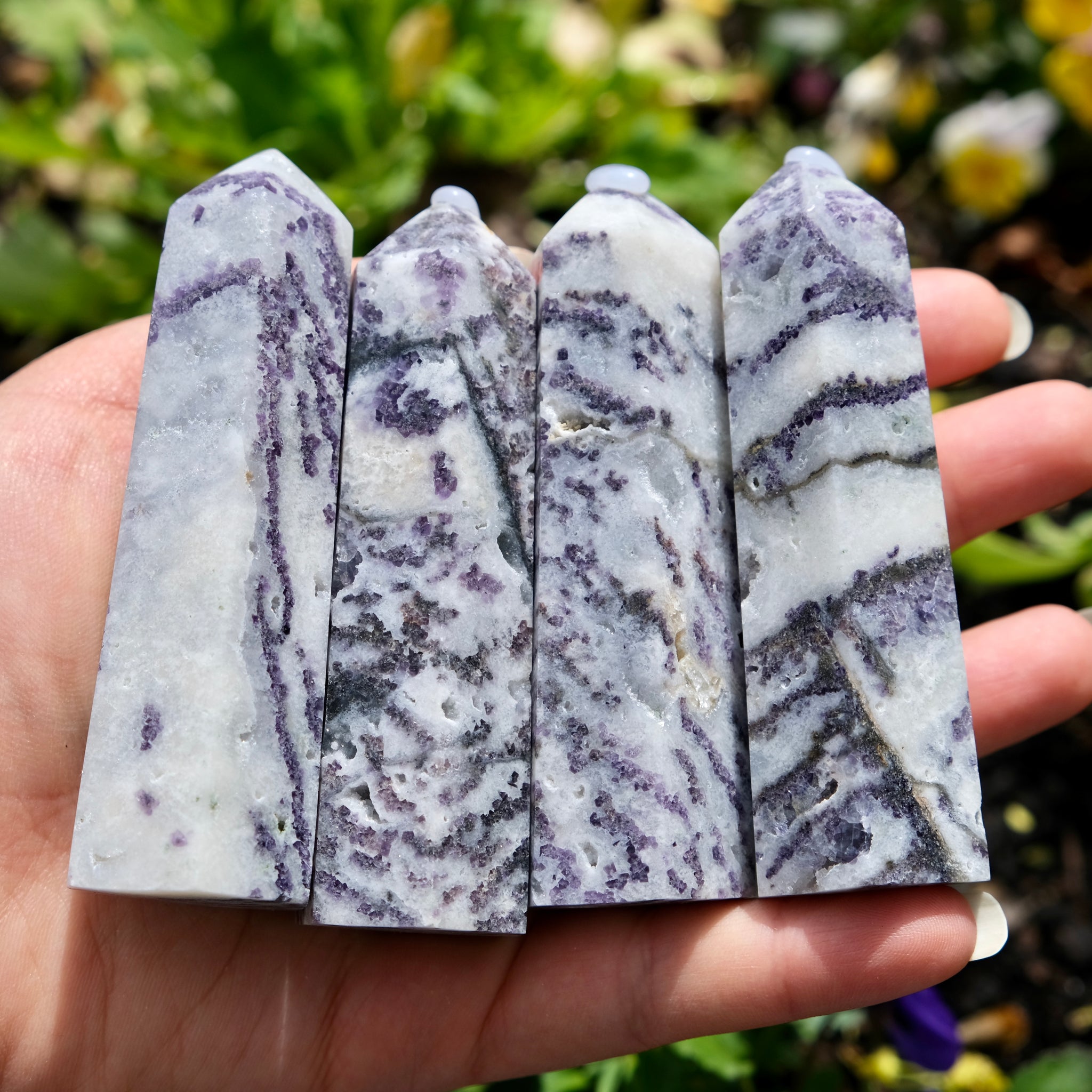 Zebra jasper purple queen tower – Orender Gardens