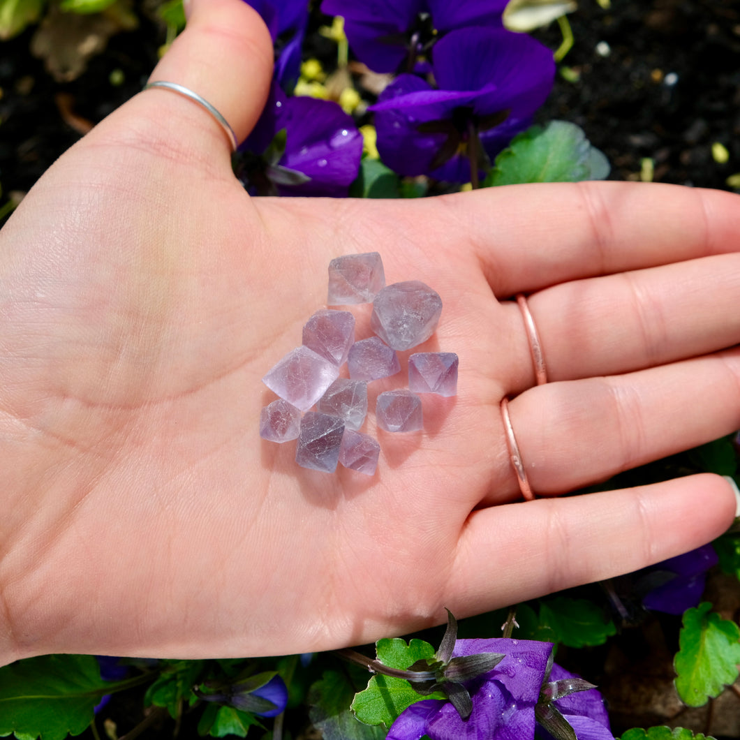 Mini Fluorite Octahedrons