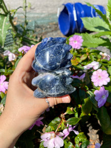 Sodalite Sitting Dino- X-Large