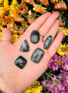 Seraphinite Cabochons