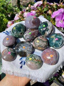 Ocean Jasper Palm Stones